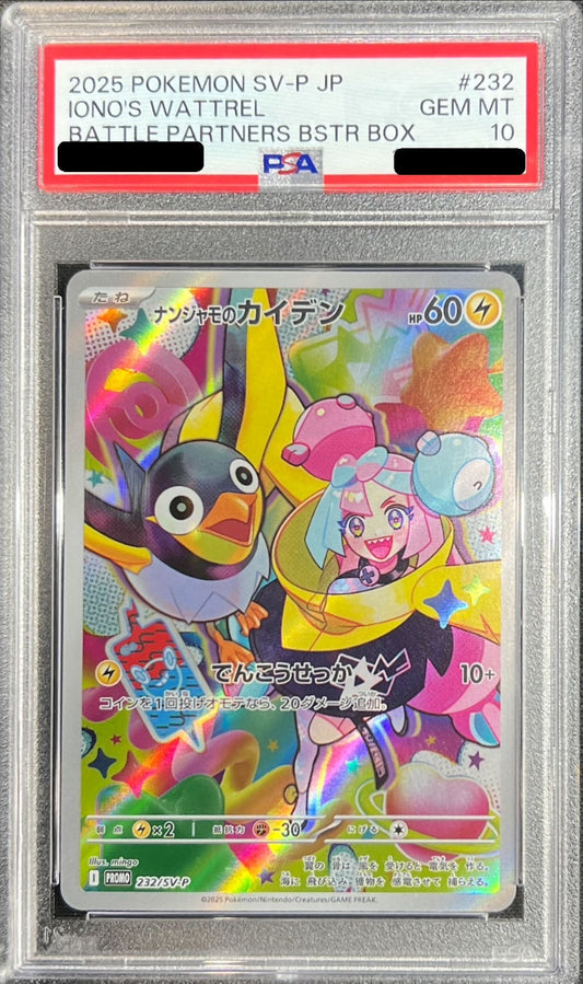 ナンジャモのカイデンP